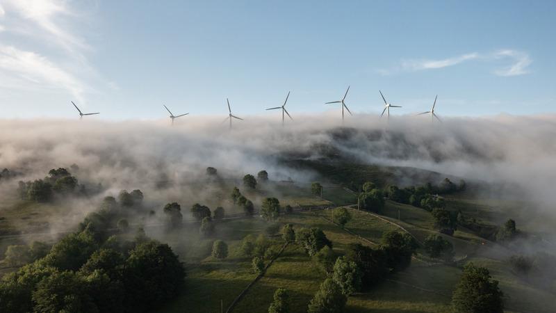 Windmills stick out of a foggy cloud in a pastorale scene of rural lushness.