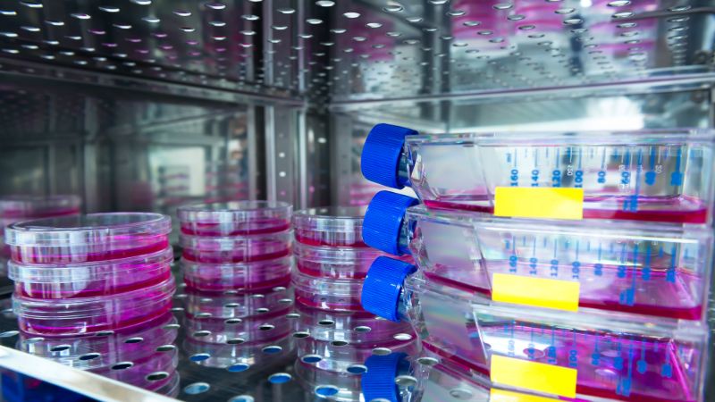 LIFT-Incubator - 800x450