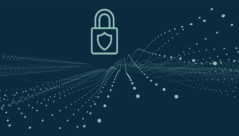 Vaisala system information and security