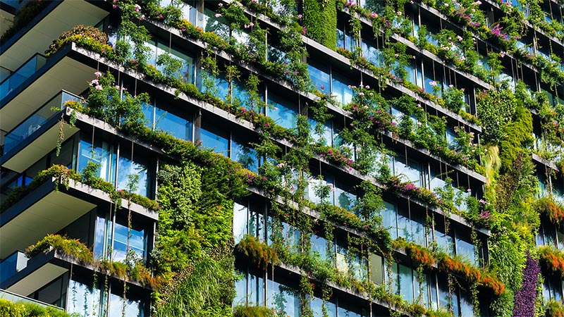 Wall garden