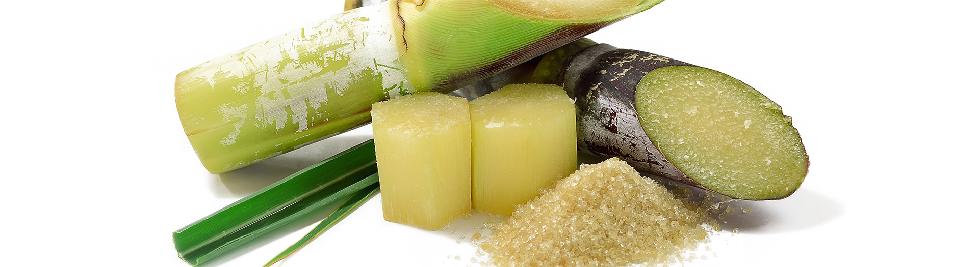 Cane sugar evaporation Vaisala