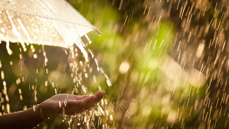 Woman hand with umbrella in the rain in green nature background