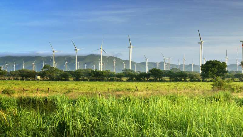 Wind farm in Mexico