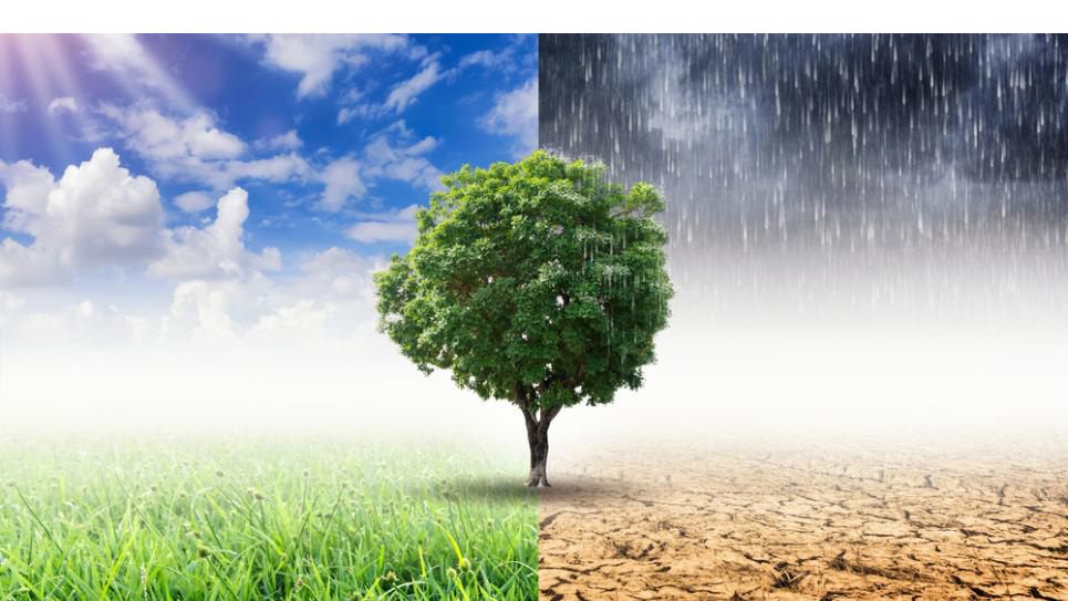 Sustainability and Conflict Minerals