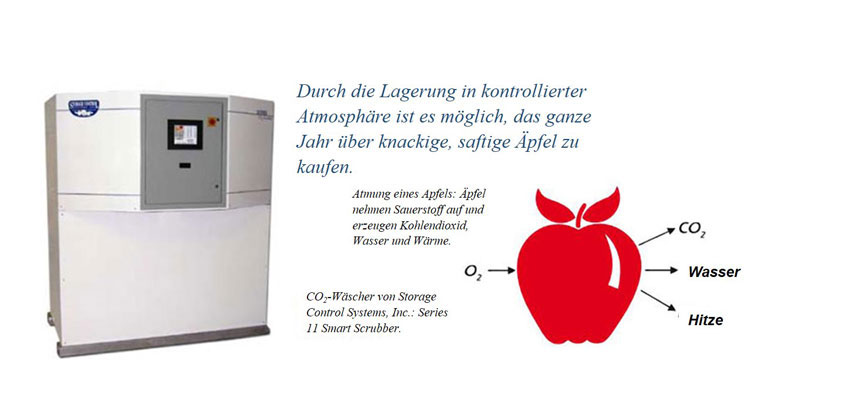 Äpfel erntefrisch halten