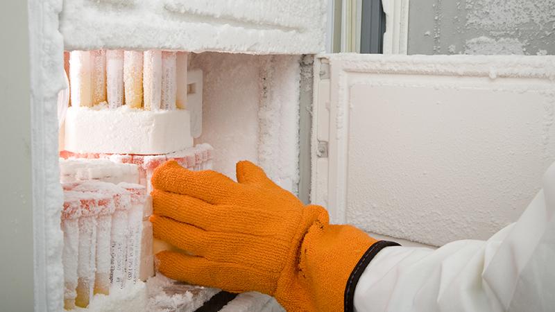 Cold Storage Webinar