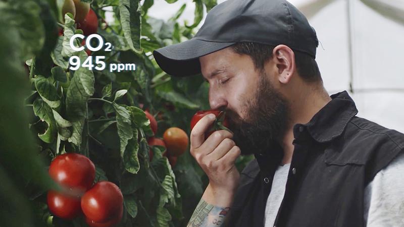 A man in a greenhouse