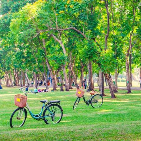 Air Quality Forecast: Comprehensive insight for proactive air quality management