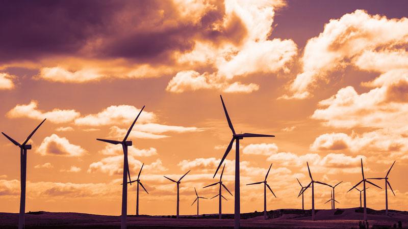 Turbulent wind farm at sunset