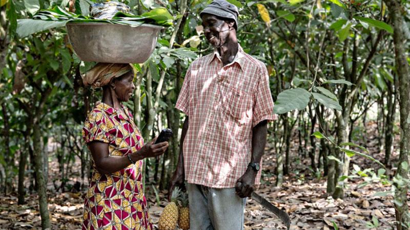 Climate intelligence and weather resiliency for tropical farmers