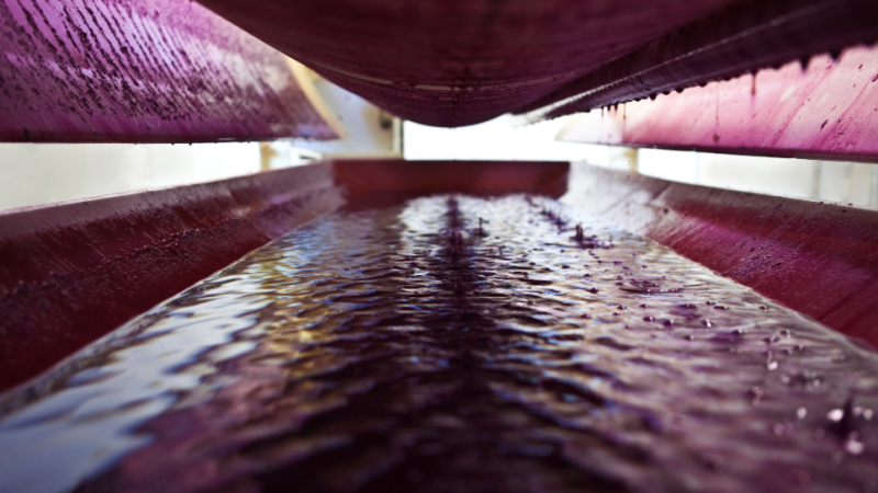 LIFT-Wine-Grape-CTAs-1