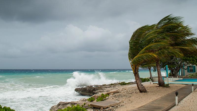 A hurricane is about to batter a Caribbean beach