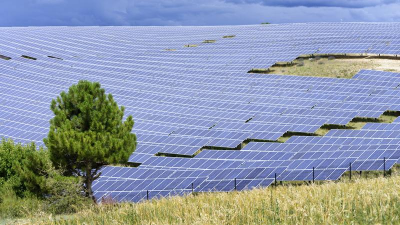 Safeguard your solar operations against hail and wind risks
