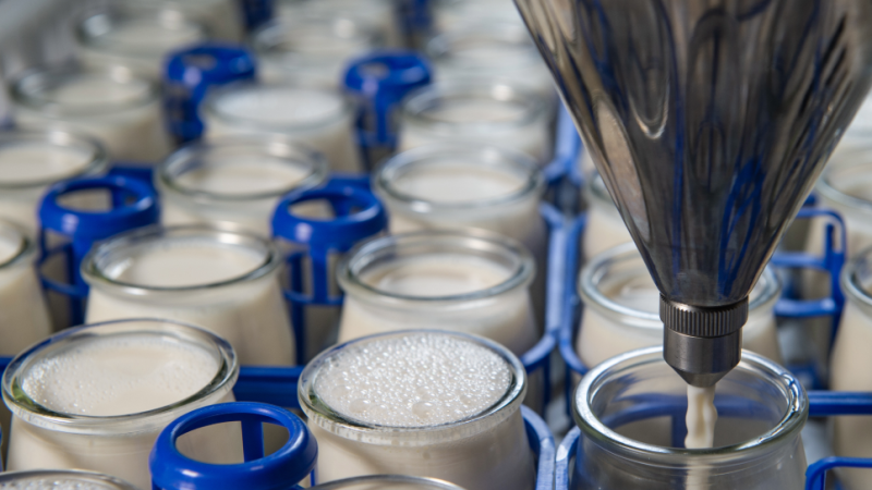 CheeseCon_April_2025