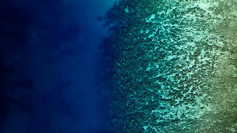 Vaisala Annual Report 2024 cover image