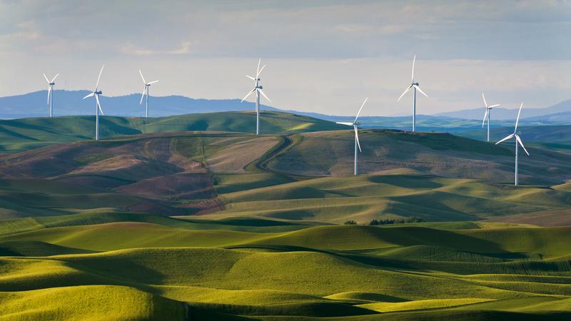 Wind turbines in a field scenery