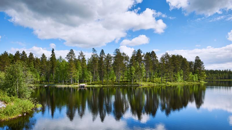 フィンランドの夏の風景