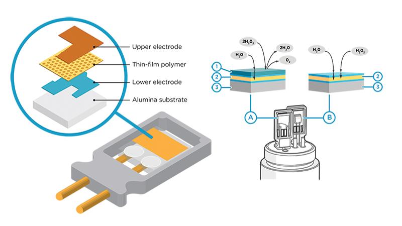 Vaporized Hydrogen Peroxide Sensors Expert Advice