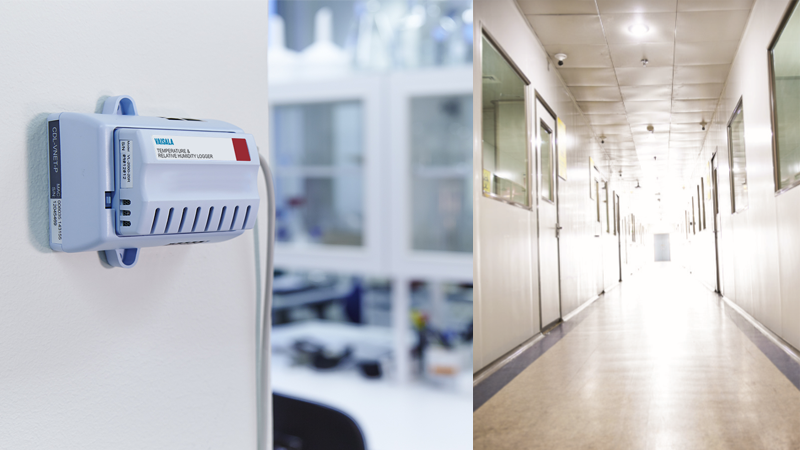 Monitoring Systems for Auditors Case Image