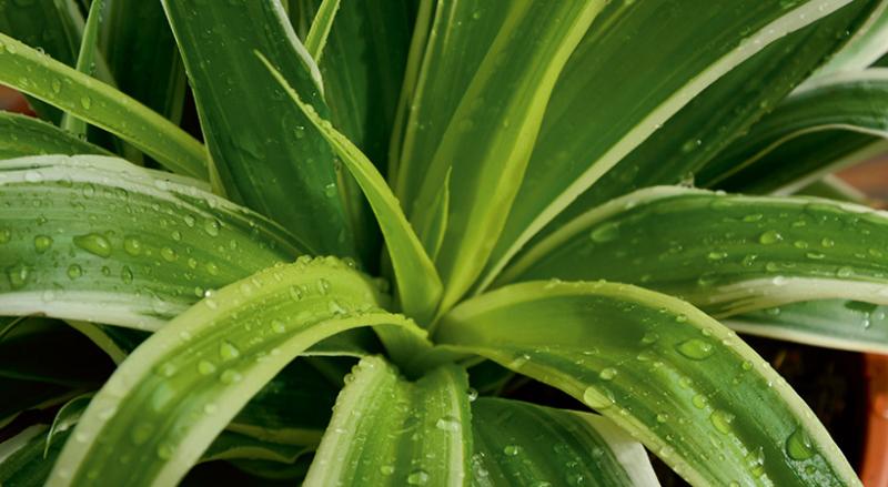 Miten valita oikea parametri kosteuden valvontaan talotekniikassa