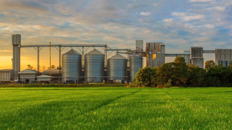 Industrial agricultural facilities and silos