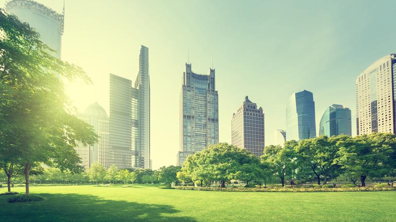 Green city view