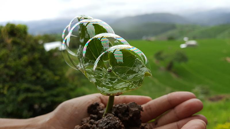 Soil, leaves and water bubbles on a hand