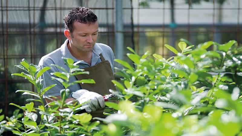 A man in a greenhouse taking care of plants