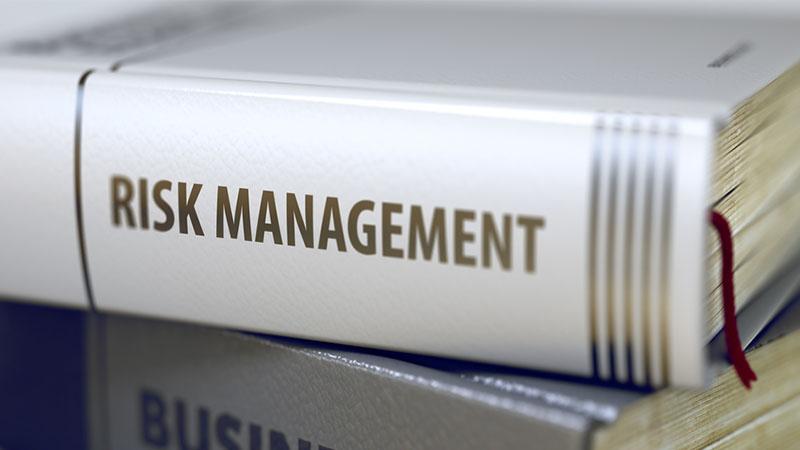 Risk management book