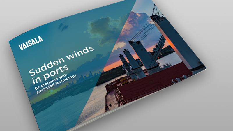 ebook cover VSudden winds