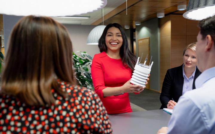 People in a meeting. A woman presenting a product.
