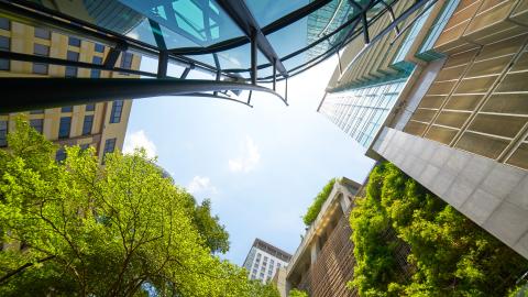 Greenery and finance buildings
