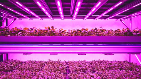 JFC Vertical farming