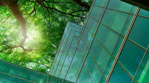 Sustainable Solutions
