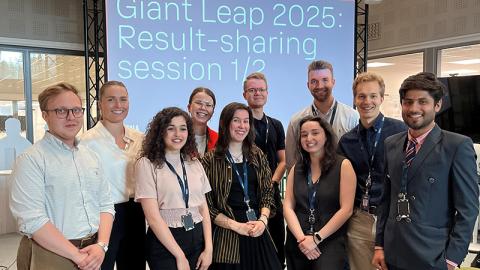 Giant Leap intern group