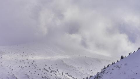 Snowy winter weather