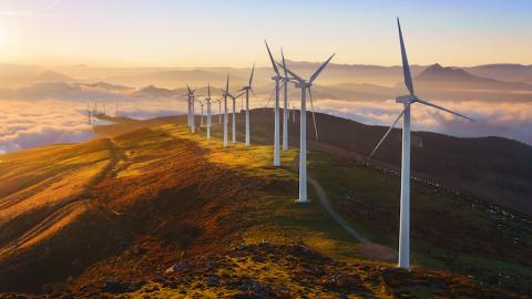 Image of wind project located in complex terrain