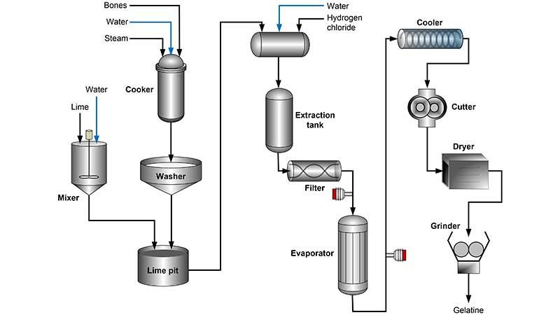 Evaporator schematic