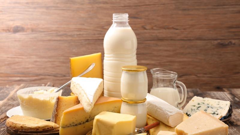 dairy