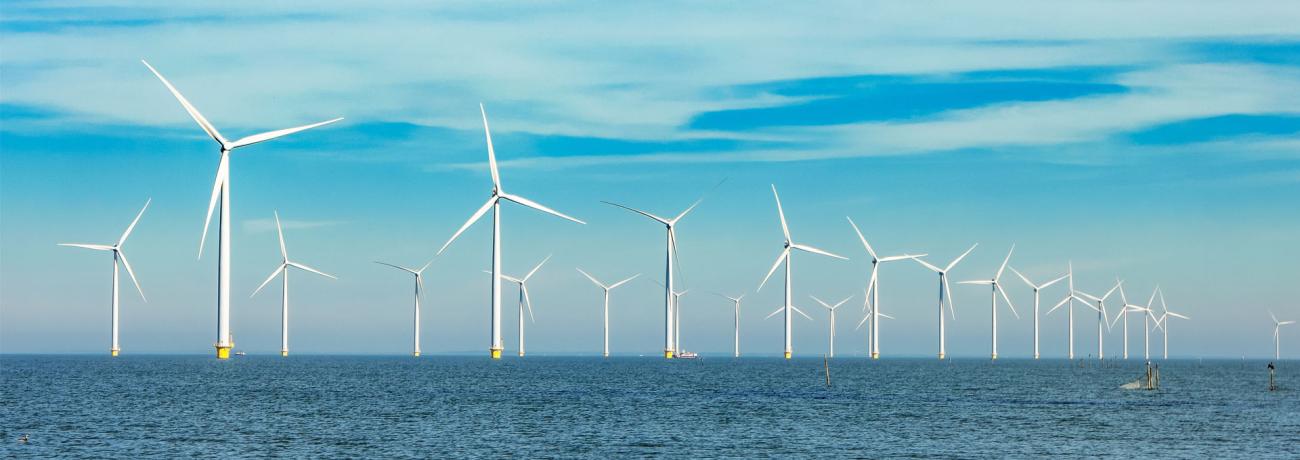 Lidar innovation: How the wind energy industry is making waves offshore