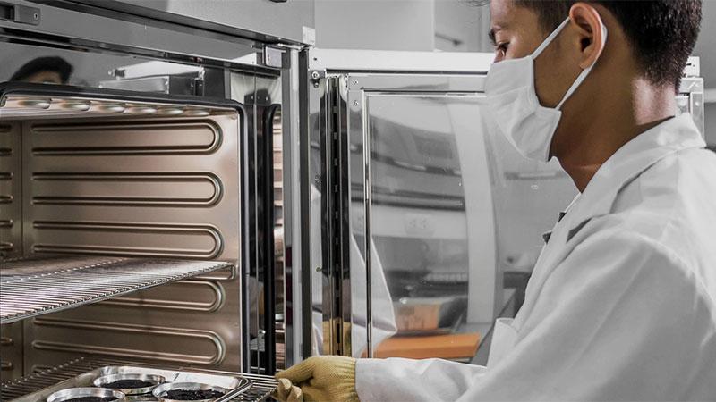 Lab technician placing tray into test chamber