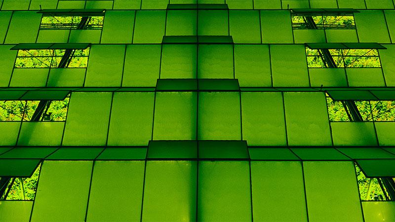 夜间使用绿色灯光为温室照明