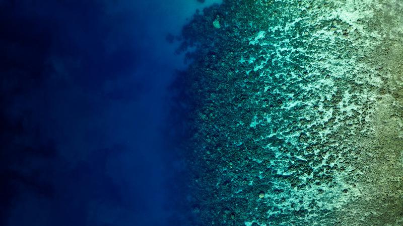 Corporate Coverning Statement Vaisala Aerial view looking down of abstract patterns created by tropical barrier reef in the ocean