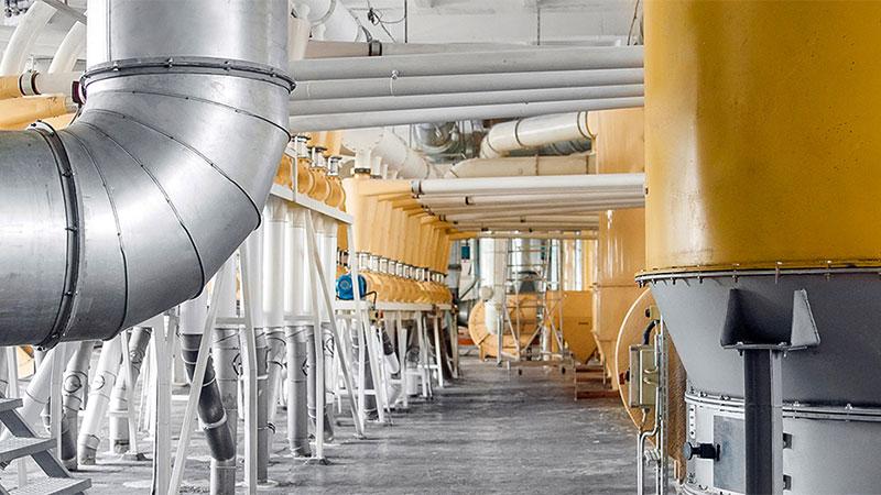 Wheat flour drying process