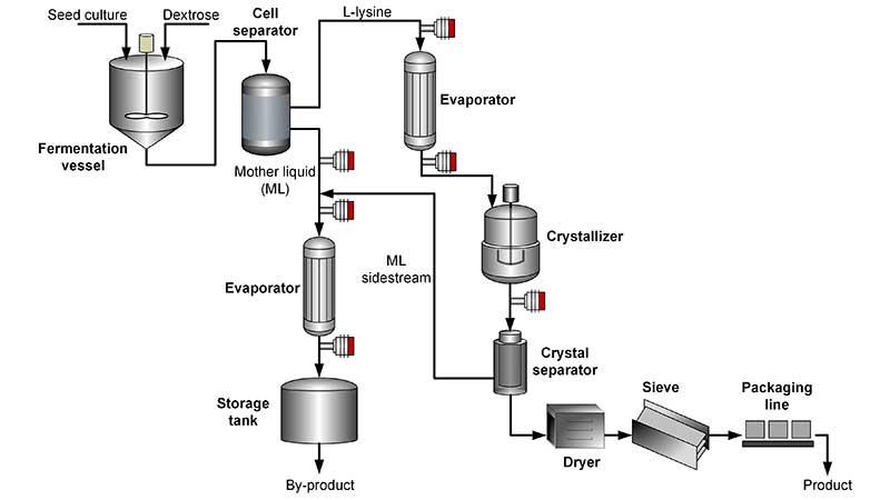 Evaporator schematic