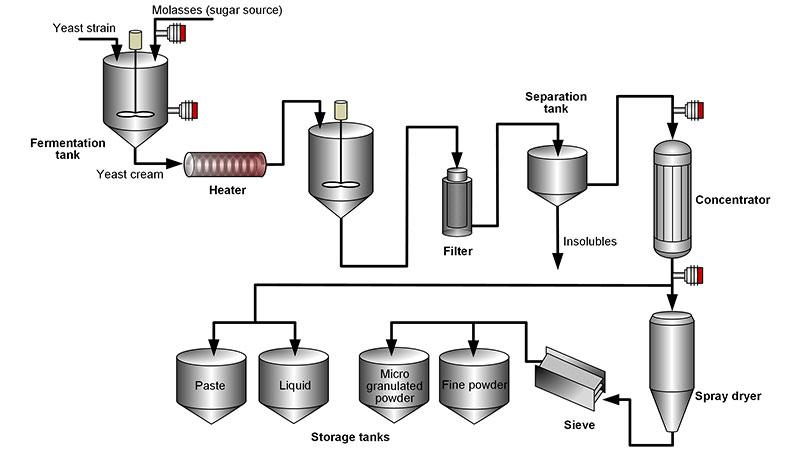 Yeast extract process