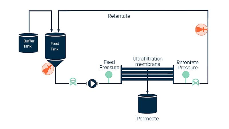 Blood Plasma Intermediate filtration