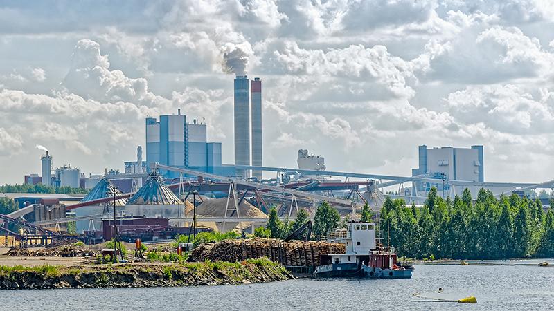 Pulp mill