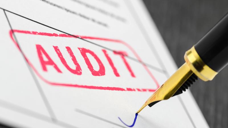 Audit document