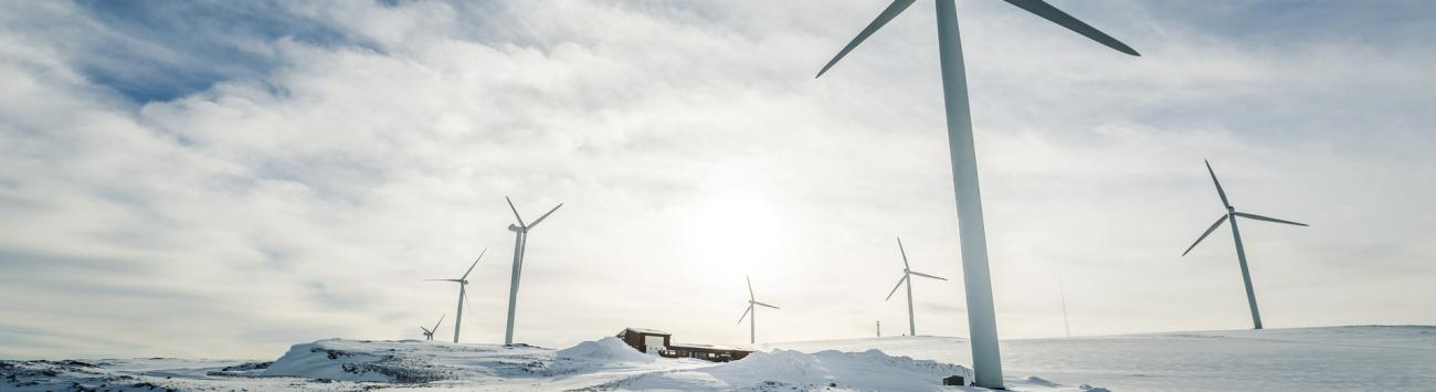 Wind turbines in snow with sun